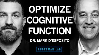 Dr. Mark D'Esposito: How to Optimize Cognitive Function & Brain Health by Andrew Huberman 330,641 views 2 months ago 2 hours, 32 minutes