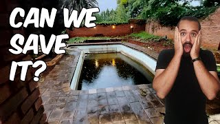 How We Revived an Abandoned Pool After 15 Years