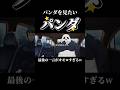 パンダがパンダを見たいと言い出した結果w #shorts #呪術廻戦ファントムパレード #呪術廻戦 #ファンパレ #真希 #パンダ