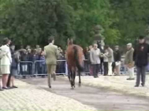 Badminton 2008: Zara Phillips and William Fox-Pitt...