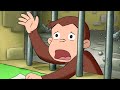 George O Curioso 🐵Ficar com Castelo 🐵Compilação 🐵 O Macaco🐵Desenhos Animados