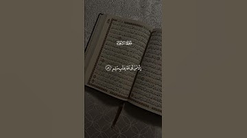 🌙 تلاوة خاشعة جداً للشيخ ياسر الدوسري | تبكي القلوب 💚 #المصحف #ياسر_الدوسري