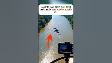 [P.1] Phát hiện rắn khủng lồ ở trên máy bay #shorts