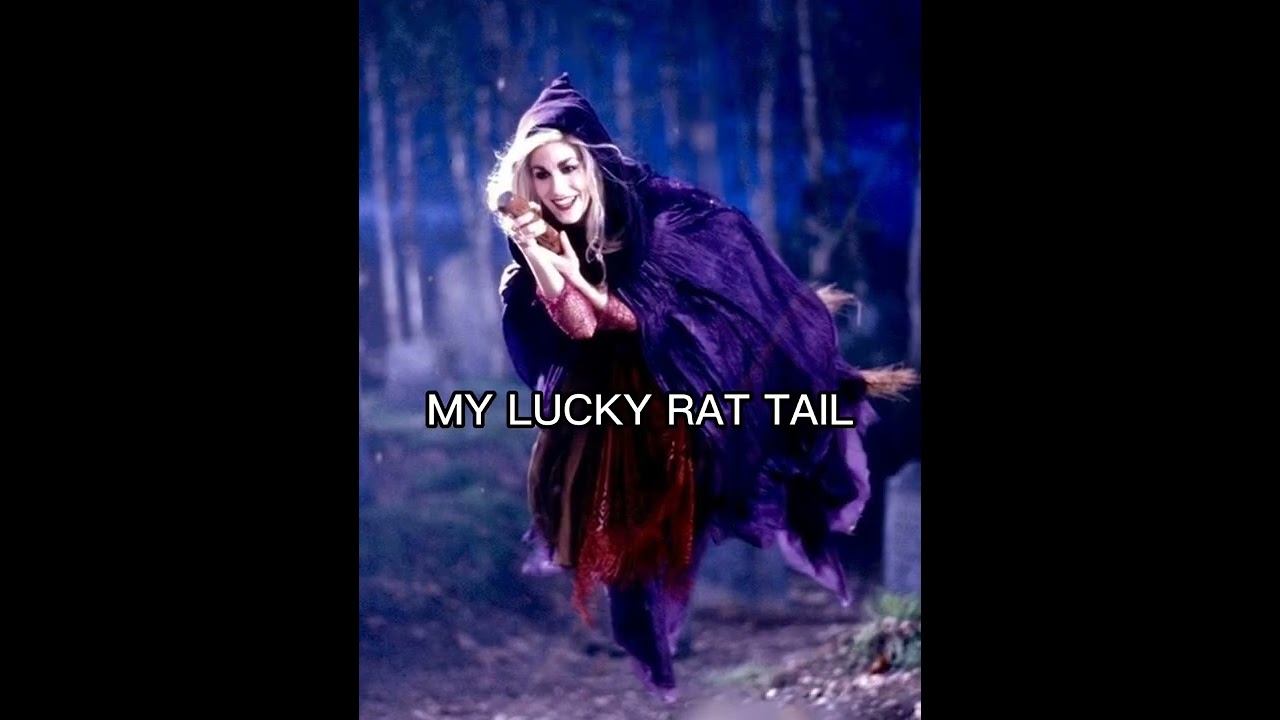 Sarah Sanderson || hocus pocus ||