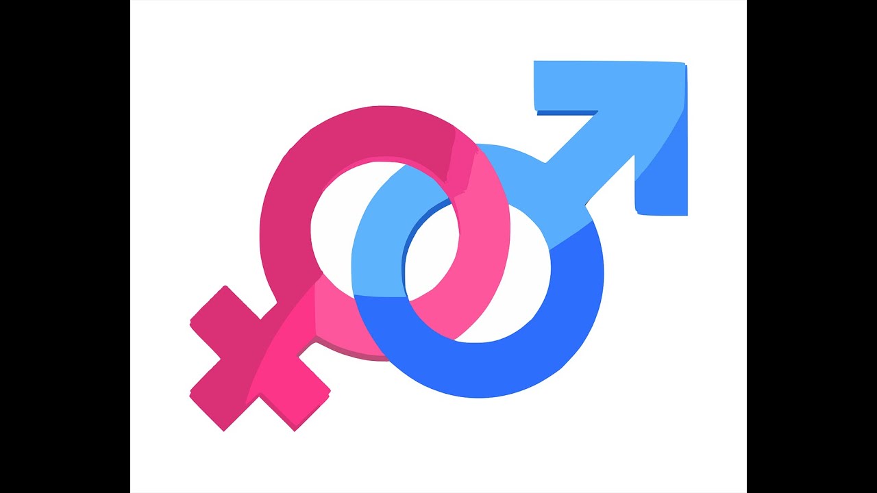 Your Daily Dose of Hebrew |  זכר ונקבה - male and female