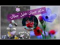 أجمل و أروع كلمات جبران خليل جبران ثقف نفسك