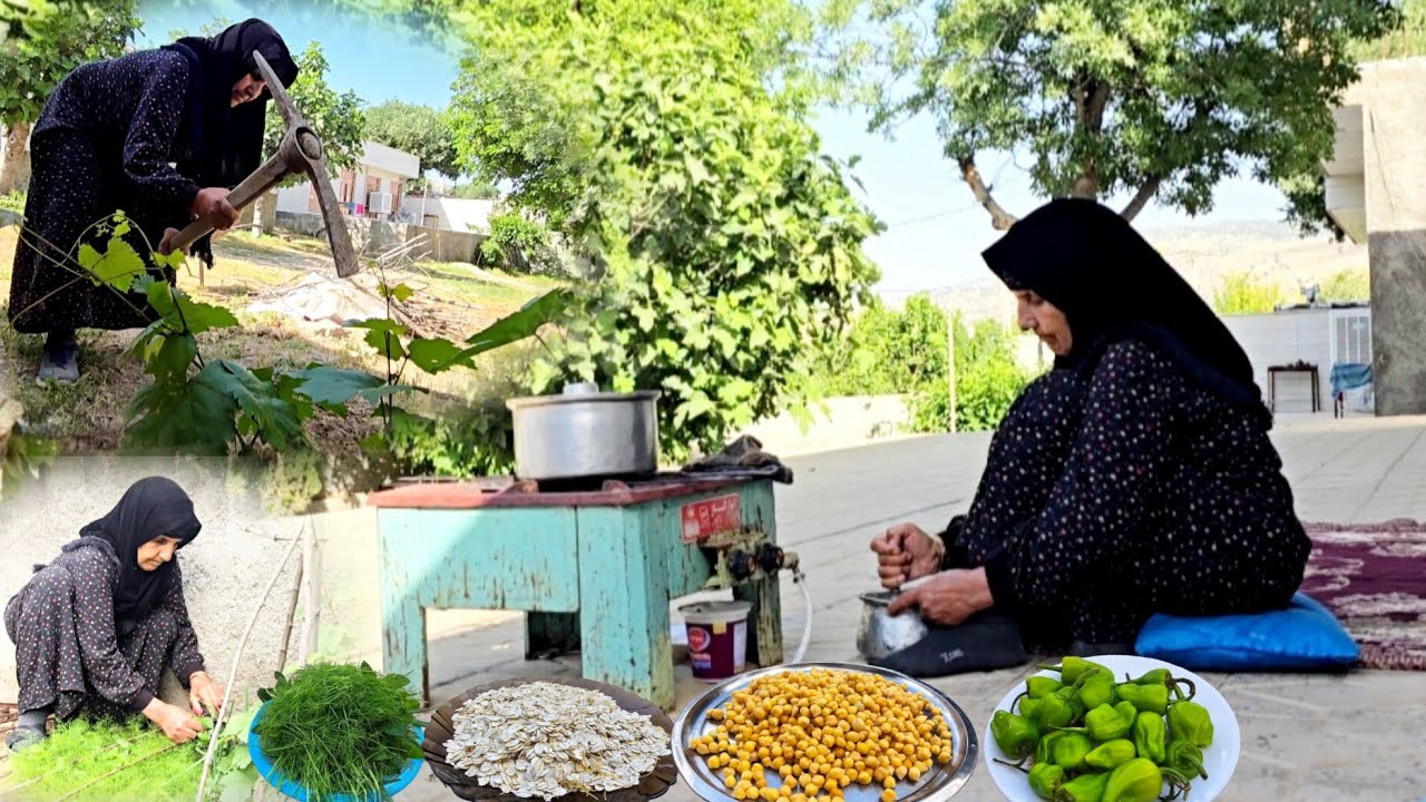 Village life on a beautiful spring day : Cooking traditional chickpea | village cooking | ILAM