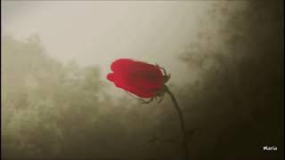 Josh Groban and Andrea Bocelli  ( We Will Meet Once Again ) ( Subtitulada )