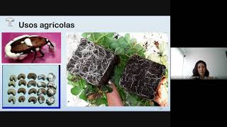 Cultivo de Hongos comestibles y medicinales