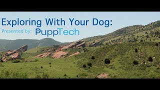 Exporing With Your Dog - Presented By Pupptech - Episode 7 - Glendale Open Space Park