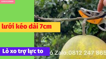 1 cây kéo cắt cành trên cao ĐẶC BIỆT nhất với 3 cải tiến mới.zalo:0392029881