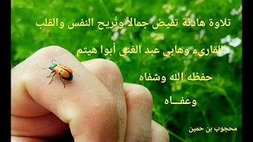 تلاوة رائعة تفيض جمالا وتريح النفس والقلب للقارئ وهابي عبد الغني شفاه الله وعافاه