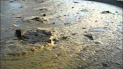 Picture or Video 006