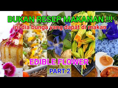 Video: Memberi Makan Peonies: Bagaimana Memberi Makan Pada Musim Bunga Untuk Berbunga Subur Di Taman? Baja Apa Yang Disukai Oleh Peonies? Bagaimana Memberi Makan Dengan Bahan Organik?