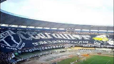 os 12 maiores bandeiroes do brasil