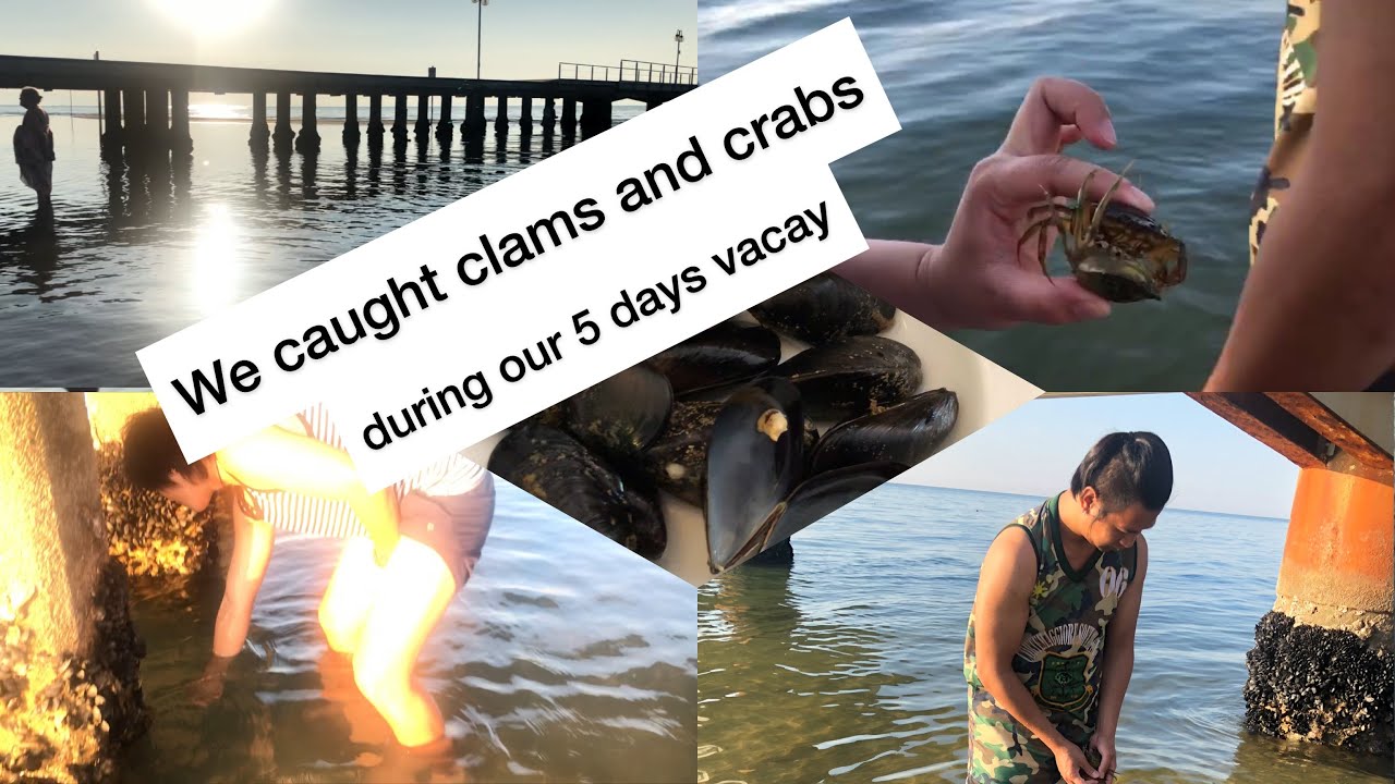 Let's go to LIGNANO PINETA beach 🏖