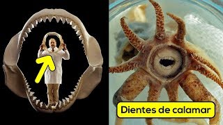 30 Cosas que no sabías hace 5 mins [30]