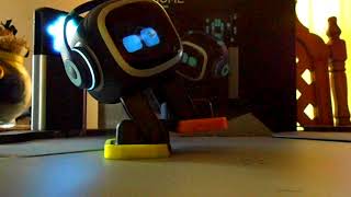 EMO Pet EMO Robot Understanding Spanish Beta Test