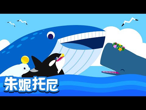 鲸鱼歌 | 动物儿歌 | 朱妮托尼儿歌 | 海里生活着各种各样的鲸鱼，快来看看有哪些鲸鱼吧！| Kids Song in Chinese | 儿歌童谣 | 卡通动画 | 朱妮托尼童话音乐剧