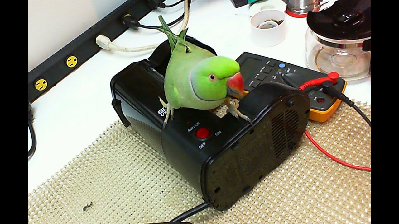 Very cheap DIY Coffee Machine repair for one of the most common faults