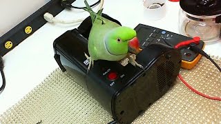 Very Cheap Diy Coffee Machine Repair For One Of The Most Common Faults