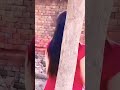Mere Hothon Pe Jo Angoor Ka Pani Hai Hindi Shorts Video Mere Hothon Pe Jo Angoor Ka Pani Hai Hindi Shorts Video