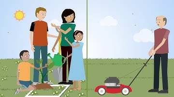 Citizen science for positive environmental impact