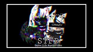 Stfd Glmv Flash Warning Tezatalks