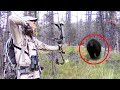 12 Times Hunters Messed With The Wrong Animals