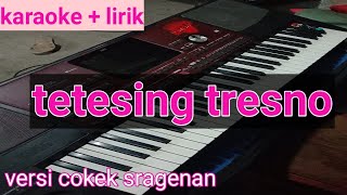 karaoke tetesing tresno sragenan#tetesing tresno tanpa vokal