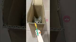 This Little Hand Is Back With More Mischief 😹✏️ #funnycats  #cutecat #catdoodles #oopsmeow