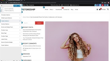 Storeship - Theme Options | Versatile and Multi-purpose eCommerce Theme for WP