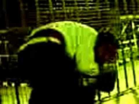 بكيزة وزغلول على حق