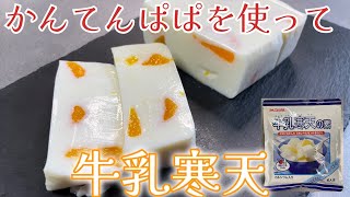 【かんてんぱぱの牛乳寒天の素を作ってみた！】混ぜるだけの簡単牛乳寒天！みかんも入れてみた