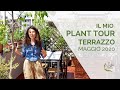 Il mio plant tour - Giro in terrazzo