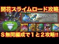 【ドラゴンクエストタクト】開花スライムロード攻略！Ｓランク無しの同編成でステージ１・２攻略する立ち回り！！