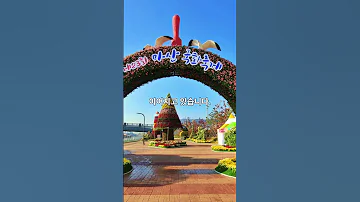 마산국화축제 11월 1일 개막 창원시 꽃 양묘장서 준비 한창 20250817 