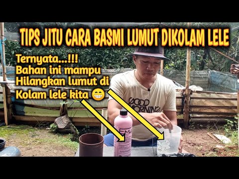 Video: Selepas Munculnya Kilat Bola Di Kolam Vyazma, Semua Ikan Hilang - Pandangan Alternatif