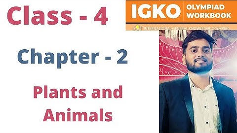 IGKO | General Knowledge Olympiad | Class - 4 | C - 2 | Plants and Animals | By - Sudhir Sir