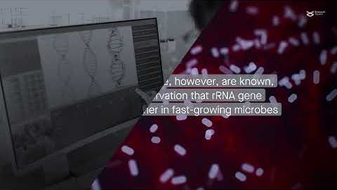 Correcting bias in microbiome analyses