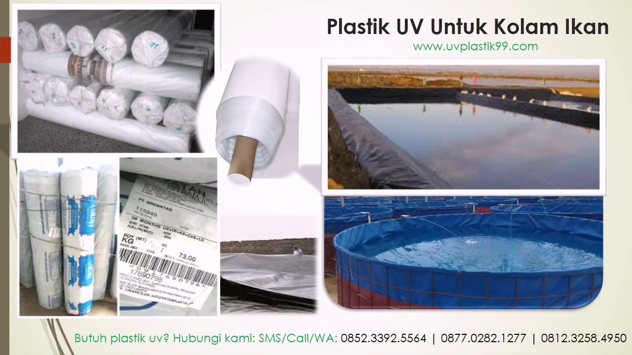 Produsen Plastik  UV  Murah Kota Jember YouTube