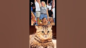 Thumbnail of What a selfie 🗿 #cat #meme #dance #funny