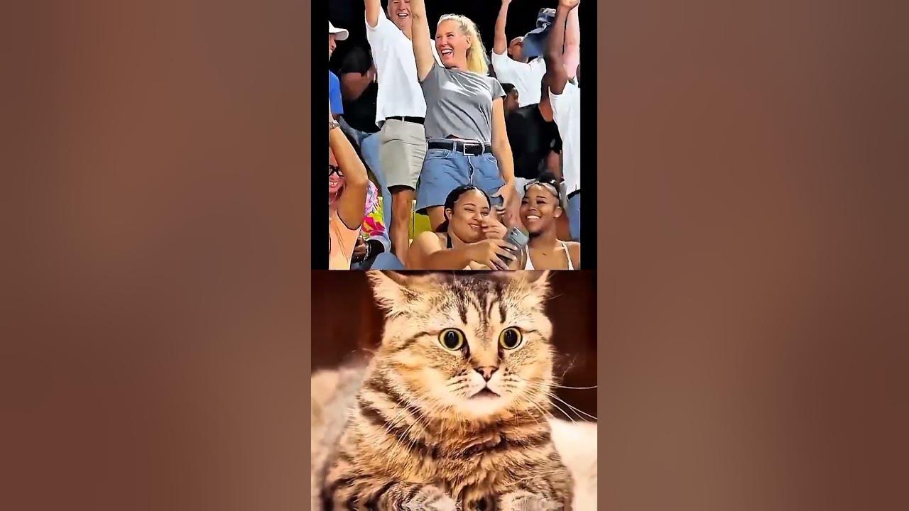 What a selfie 🗿 #cat #meme #dance #funny