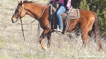 Meradaized***For info, price, etc., go to our website*** Valley View Ranch