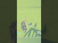fortnite gameplay gaming shortvideo epic games fortnite gameplay gaming shortvideo epic games