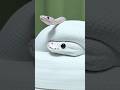 ホワイトウェディング #爬虫類 #reptiles #ボールパイソン