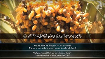 "والأرض وضعها للأنام" – للقارئ الشيخ/ عبدالباسط عبدالصمد