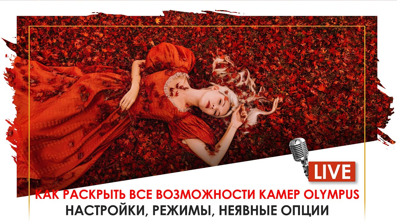 Стрим: как раскрыть все возможности камер Olympus