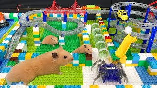 My Cute Hamster in Robot City Maze Obstacle Course - Funny Hamster Escape Robot Spider