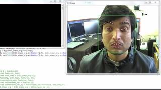 facial feature detection demo 1